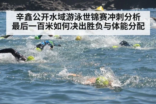 辛鑫公开水域游泳世锦赛冲刺分析 最后一百米如何决出胜负与体能分配
