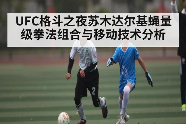 UFC格斗之夜苏木达尔基蝇量级拳法组合与移动技术分析